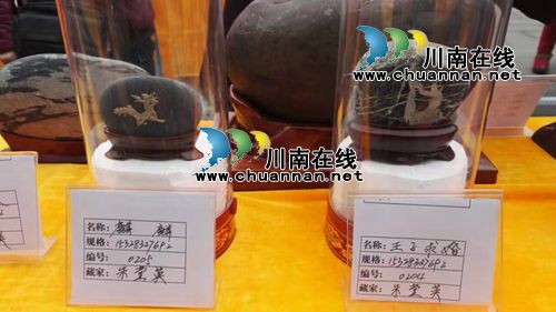 以石会友!350枚奇石亮相合江长江奇石展(图8) 以石会友!350枚奇石亮相合江长江奇石展(图8)