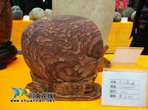 以石会友!350枚奇石亮相合江长江奇石展(图4) 以石会友!350枚奇石亮相合江长江奇石展(图4)