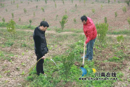 宜宾汪家镇:农民工返乡创业 为贫困户“雪中送炭”(图2) 宜宾汪家镇:农民工返乡创业 为贫困户“雪中送炭”(图2)