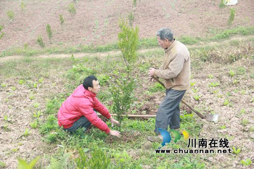 宜宾汪家镇:农民工返乡创业 为贫困户“雪中送炭”(图3) 宜宾汪家镇:农民工返乡创业 为贫困户“雪中送炭”(图3)