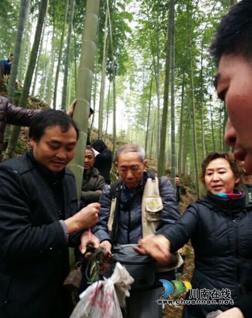 叙永旅游扶贫暖冬：山乡里开起“年货供销会”(图4)
