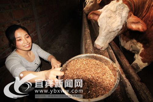 宜宾“爬行女强人”央视领奖 创业故事感动全场(图4) 宜宾“爬行女强人”央视领奖 创业故事感动全场(图4)