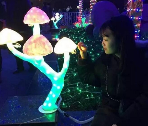 纳尼?梦幻泸州灯光节咋个竟有四宗“罪”(图4) 纳尼?梦幻泸州灯光节咋个竟有四宗“罪”(图4)