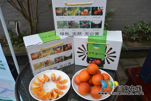 意大利塔罗科血橙熟了 你知道在泸州哪里吗?(图3) 意大利塔罗科血橙熟了 你知道在泸州哪里吗?(图3)