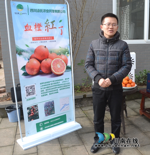 意大利塔罗科血橙熟了 你知道在泸州哪里吗?(图4) 意大利塔罗科血橙熟了 你知道在泸州哪里吗?(图4)