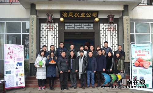 意大利塔罗科血橙熟了 你知道在泸州哪里吗?(图7) 意大利塔罗科血橙熟了 你知道在泸州哪里吗?(图7)