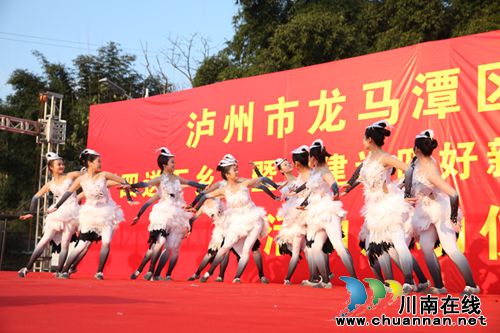 泸州龙马潭区“四送下乡”惠民生(图5) 泸州龙马潭区“四送下乡”惠民生(图5)
