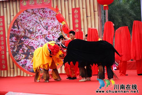 云溪放歌！泸州幸福新农村农民开心过大年(图10)