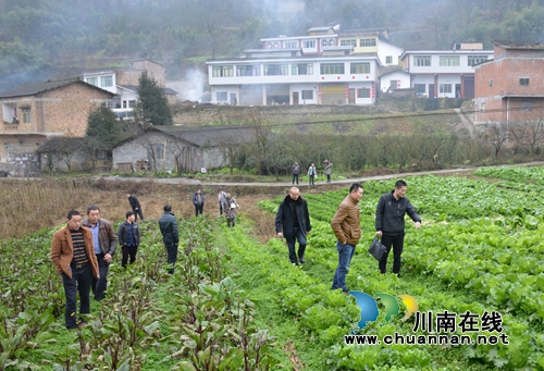 川煤芙蓉威鑫煤业工会发力让职工吃上无公害蔬菜(图1) 川煤芙蓉威鑫煤业工会发力让职工吃上无公害蔬菜(图1)
