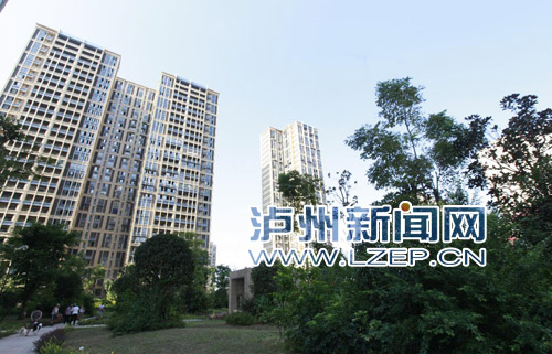 2017年&nbsp;泸州计划改造危旧房棚户区9000户(图1)