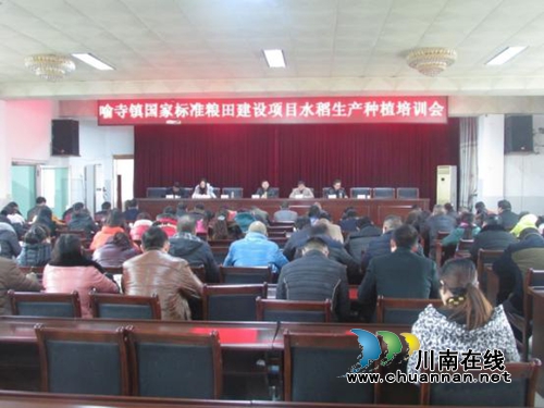 泸县喻寺召开国家标准粮田建设项目水稻种植培训会(图1)