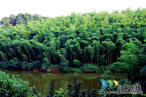 凤凰湖景区将成为泸州又一处国家4A级景区(图3) 凤凰湖景区将成为泸州又一处国家4A级景区(图3)