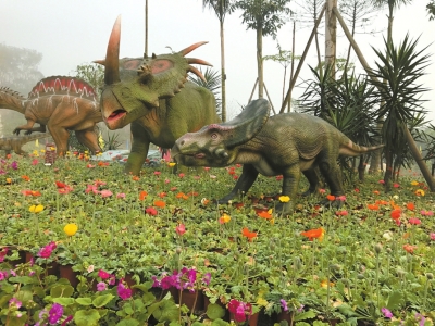 自贡：川南首届花博会开幕&nbsp;一直美到3月20日(图1)