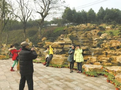 自贡：川南首届花博会开幕&nbsp;一直美到3月20日(图2)