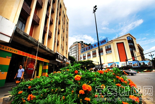 宜宾市通过创建国家卫生城市技术评估(图1) 宜宾市通过创建国家卫生城市技术评估(图1)