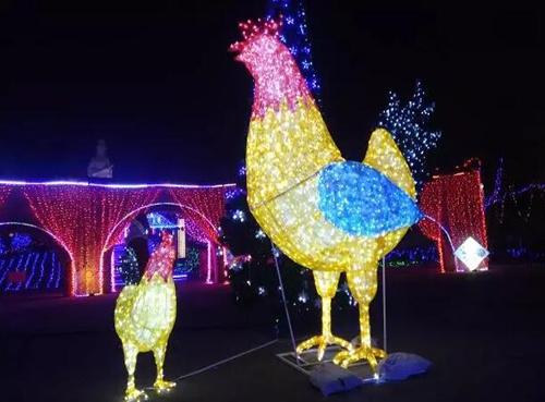 一只巨型“金鸡”扭着“小蛮腰”来泸州过年啦!(图1) 一只巨型“金鸡”扭着“小蛮腰”来泸州过年啦!(图1)