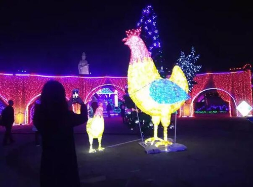 一只巨型“金鸡”扭着“小蛮腰”来泸州过年啦!(图2) 一只巨型“金鸡”扭着“小蛮腰”来泸州过年啦!(图2)