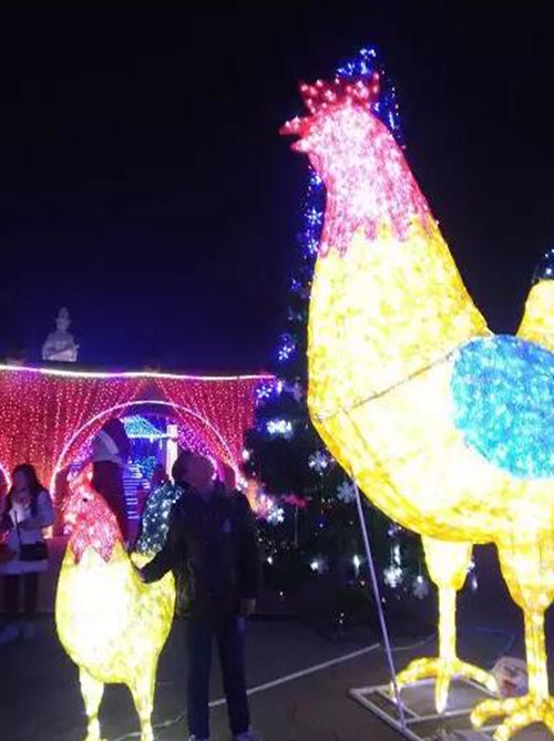 一只巨型“金鸡”扭着“小蛮腰”来泸州过年啦!(图4) 一只巨型“金鸡”扭着“小蛮腰”来泸州过年啦!(图4)