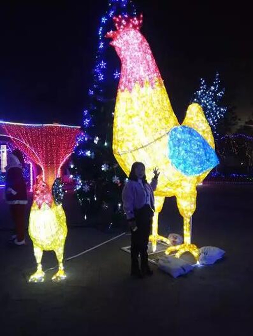 一只巨型“金鸡”扭着“小蛮腰”来泸州过年啦!(图5) 一只巨型“金鸡”扭着“小蛮腰”来泸州过年啦!(图5)