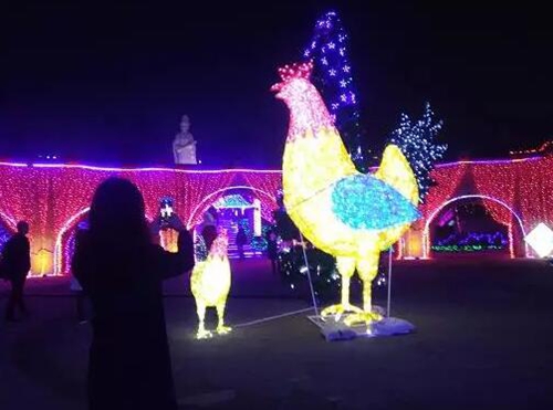 一只巨型“金鸡”扭着“小蛮腰”来泸州过年啦!(图6) 一只巨型“金鸡”扭着“小蛮腰”来泸州过年啦!(图6)