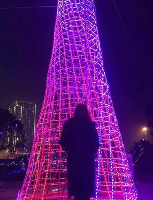 一只巨型“金鸡”扭着“小蛮腰”来泸州过年啦!(图11) 一只巨型“金鸡”扭着“小蛮腰”来泸州过年啦!(图11)