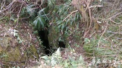 泸州男子坠入百米天坑&nbsp;曾跟家人提过想跳入坑洞(图1)