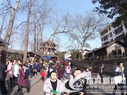 新春佳节&nbsp;宜宾各公园景点人气爆棚(图4)