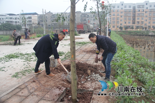 泸县石桥镇开展义务植树活动(图1) 泸县石桥镇开展义务植树活动(图1)