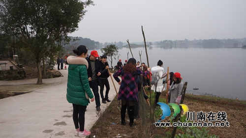 泸县立石：立春季节玉龙湖边植树忙(图1)