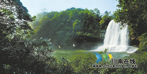 2017春节黄金周 泸州旅游吸金超6亿元(图5) 2017春节黄金周 泸州旅游吸金超6亿元(图5)