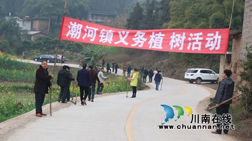 泸县潮河镇：义务植树&nbsp;点绿道路(图2)