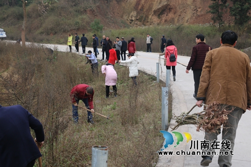 泸县潮河镇：义务植树&nbsp;点绿道路(图3)