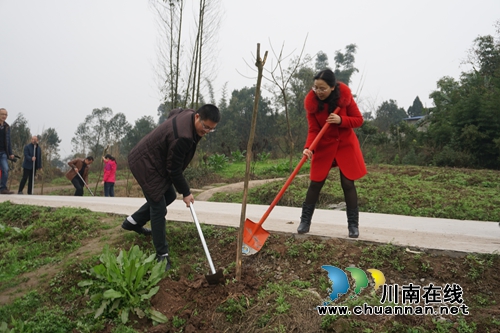 泸县人社局：新春添新绿&nbsp;谱写新篇章(图1)