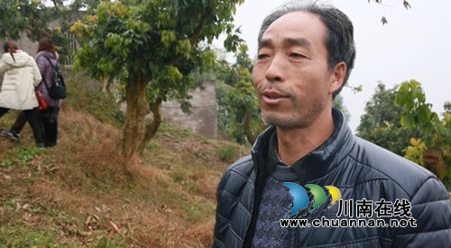 远程+现场&nbsp;合江“田头培训”让党员冬训更带劲(图2)