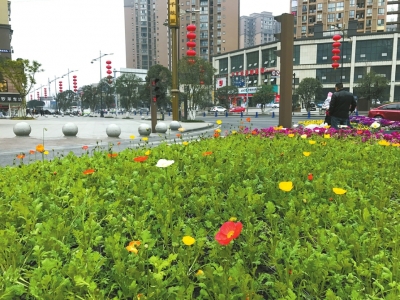 阴雨天气还要继续&nbsp;川南人感觉立了个“假”春(图2)