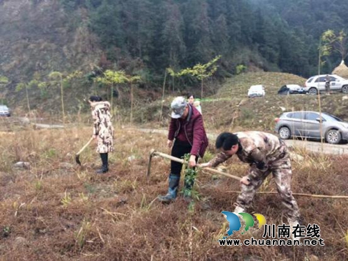 贵州江口县德旺乡组织开展2017年义务植树活动(图3) 贵州江口县德旺乡组织开展2017年义务植树活动(图3)