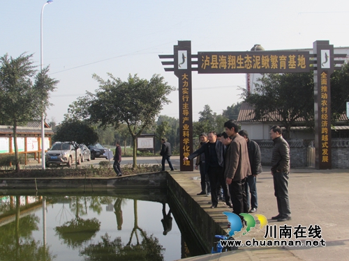 四川省农科院水稻高粱研究所专家到泸县调研(图1)