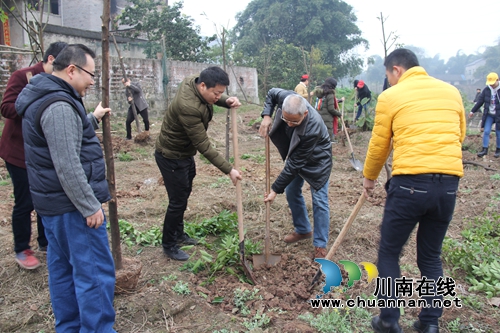 泸州医药产业园到泸县得胜镇开展义务植树活动(图1) 泸州医药产业园到泸县得胜镇开展义务植树活动(图1)
