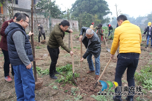 泸州医药产业园到得胜镇开展义务植树活动(图1) 泸州医药产业园到得胜镇开展义务植树活动(图1)