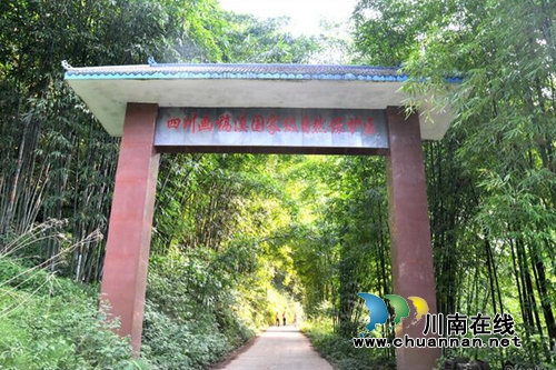 叙永画稿溪保护区获评四川首批国家级森林氧吧(图2) 叙永画稿溪保护区获评四川首批国家级森林氧吧(图2)