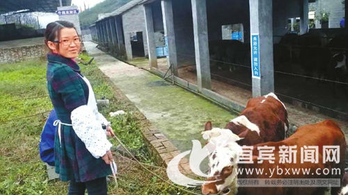 宜宾筠连“女牛人”张航银荣膺1月“四川好人”(图1)