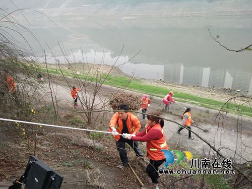 龙马潭区红星街道开展沿江路护堤环境卫生治理(图2)