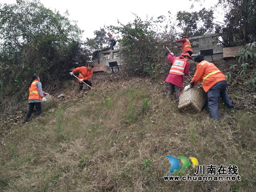 龙马潭区红星街道开展沿江路护堤环境卫生治理(图1)