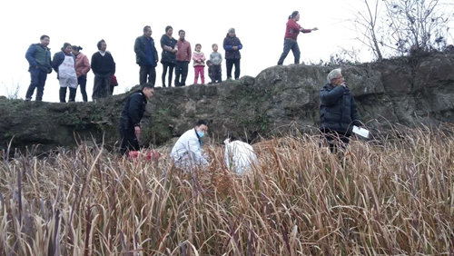 自贡老人跌下山坡受伤 民警堆茅草为其挡寒风(图2) 自贡老人跌下山坡受伤 民警堆茅草为其挡寒风(图2)