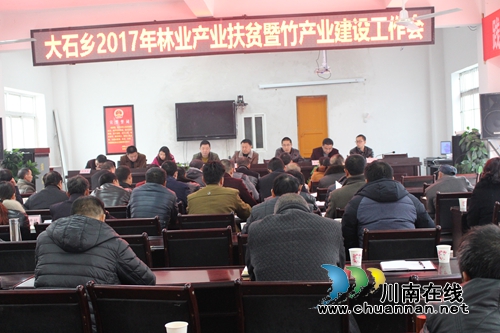 叙永大石乡召开2017年林业产业扶贫暨竹产业建设工作会(图1)