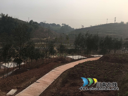 打造MINI农业生态园 泸县云龙要变“健康花园”(图4) 打造MINI农业生态园 泸县云龙要变“健康花园”(图4)