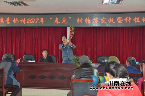 泸县太伏镇：发放柑橘苗助农增收(图1)