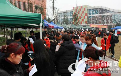 宜宾新春招聘会&nbsp;3000岗位“上线”等人挑(图1)