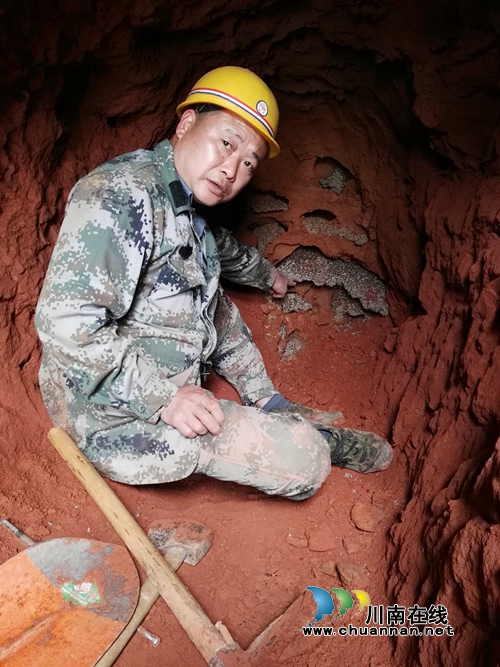 纳溪:挖出地下白蚁“王宫”活捉“蚁后”(图3) 纳溪:挖出地下白蚁“王宫”活捉“蚁后”(图3)