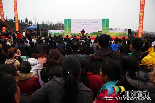 四川第五届茶叶开采活动周在纳溪隆重开幕(图12) 四川第五届茶叶开采活动周在纳溪隆重开幕(图12)